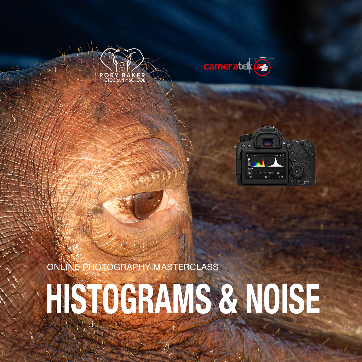 Histograms and Noise online photography Masterclass – Rory Baker Photography