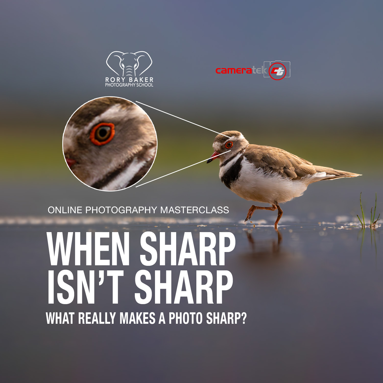 When Sharp Isn't Sharp photography Masterclass
