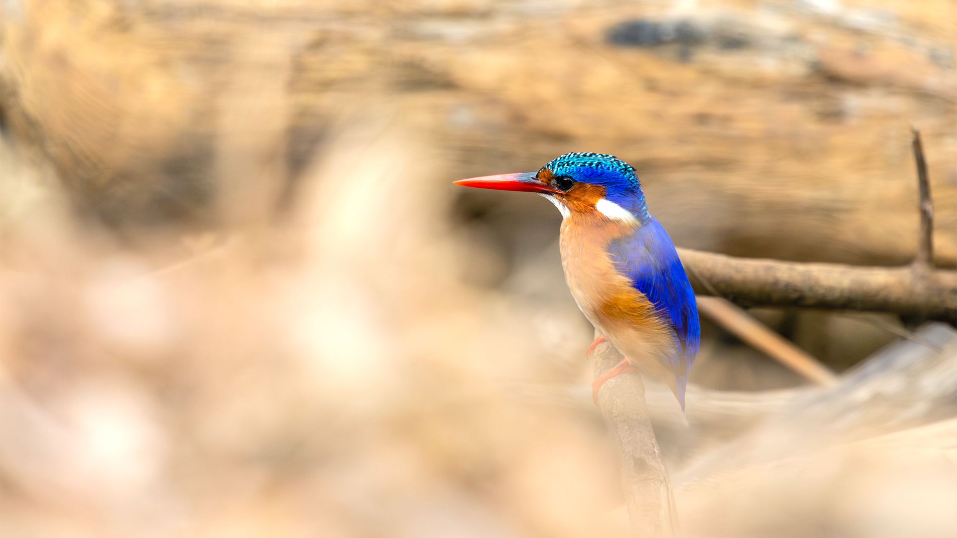 Framing and Cropping