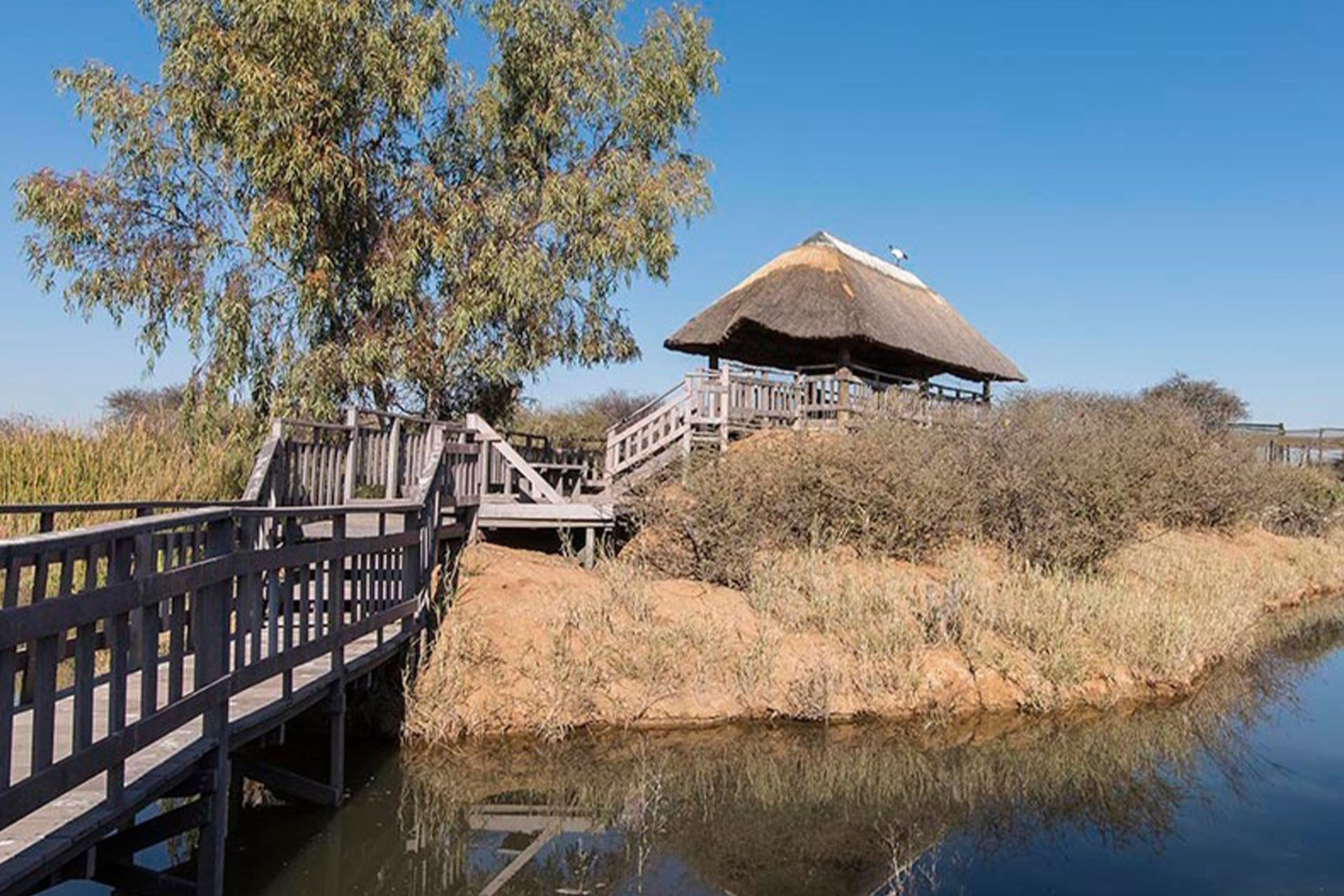 birding workshop at zaagkuilsdrift lodge
