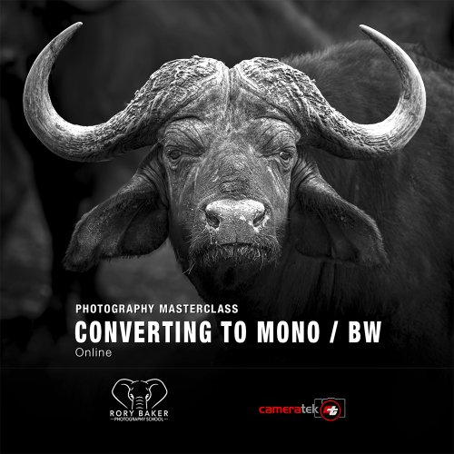 Converting to Mono/BW Master Class