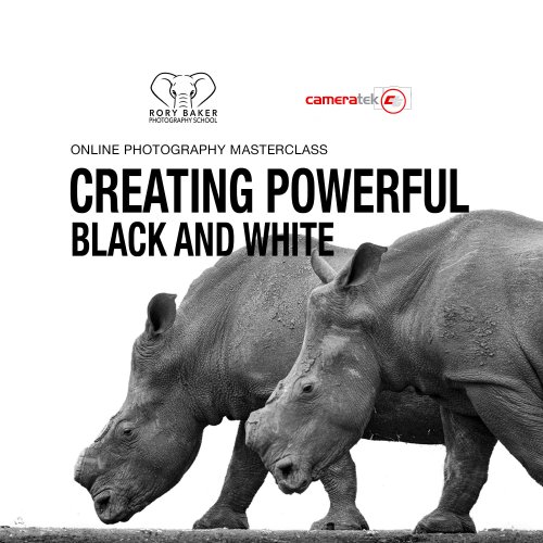 Creating Powerful Black and White