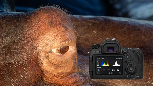 Histograms & Noise Master Class