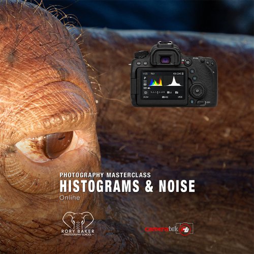 Histograms &amp; Noise Master Class