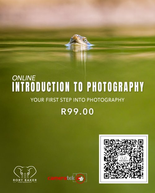 Introduction to Photography Workshop